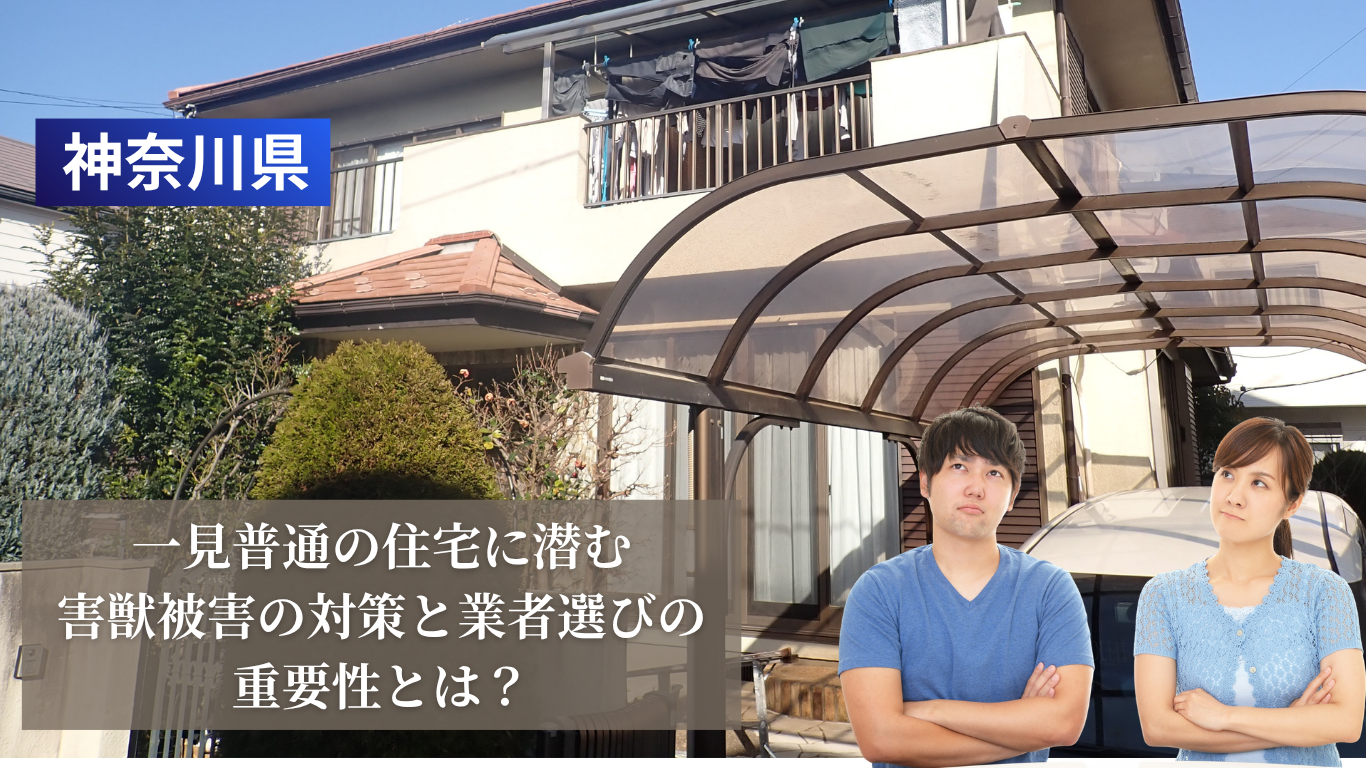 害獣額と業者選びのポイント