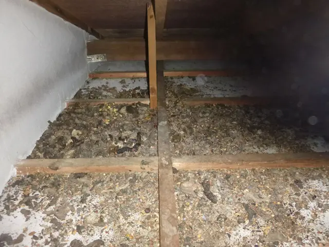 害獣被害を放置した場合に進行する住宅被害の様子。天井裏のフンや騒音から始まり、断熱材や配線の破損、最終的に修繕が必要になるケースを示している