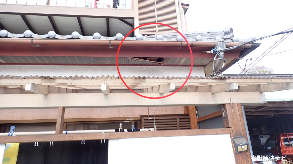 市川市の屋根裏で発生した害獣被害の施工事例1