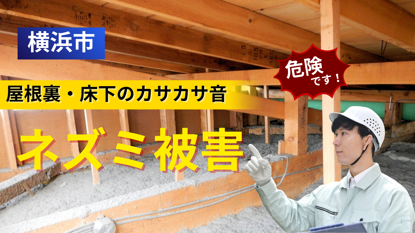 横浜のネズミ駆除を行う住宅で発生するネズミ被害のイメージ｜屋根裏や床下でのカサカサ音の原因となる害獣被害の現場