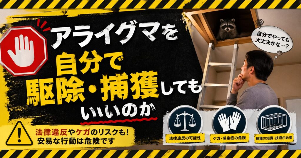 アライグマを自分で捕獲しようか迷う戸建て住人と危険性を示すイメージ