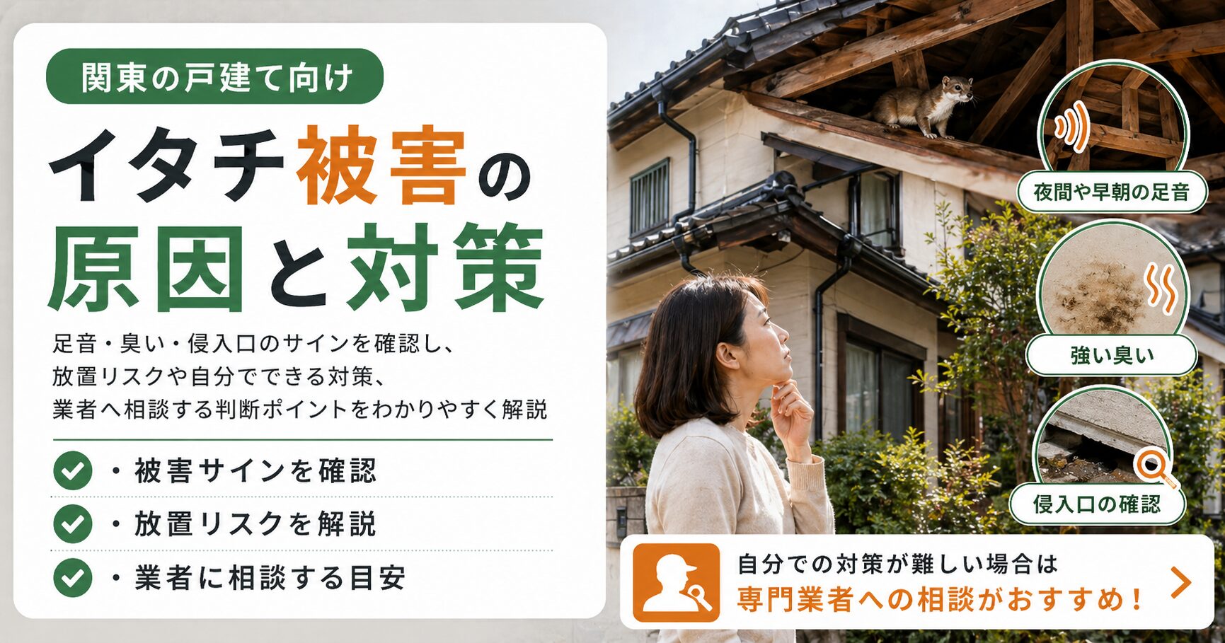 イタチ被害の原因と対策をわかりやすく解説した画像