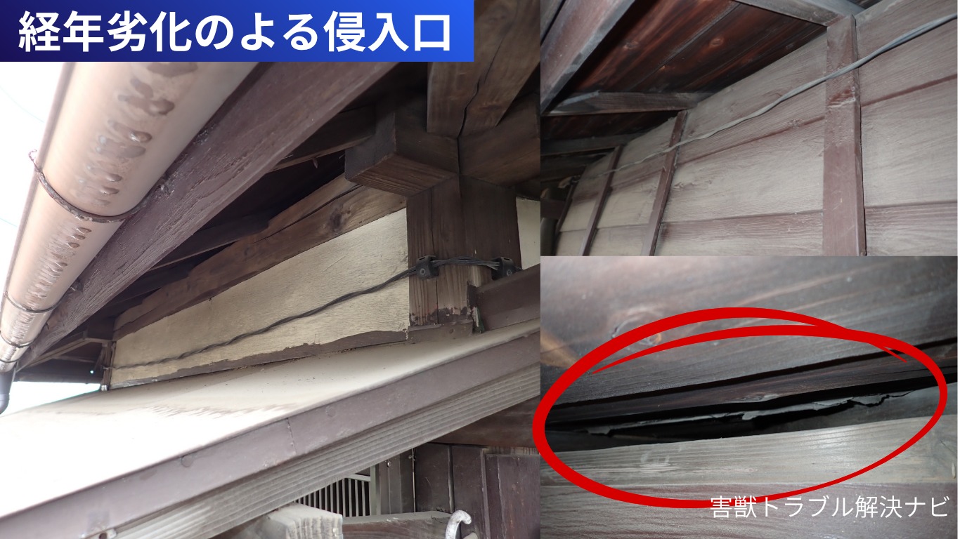 古い木造の軒下で、板の継ぎ目が傷んでできた細い割れ目
