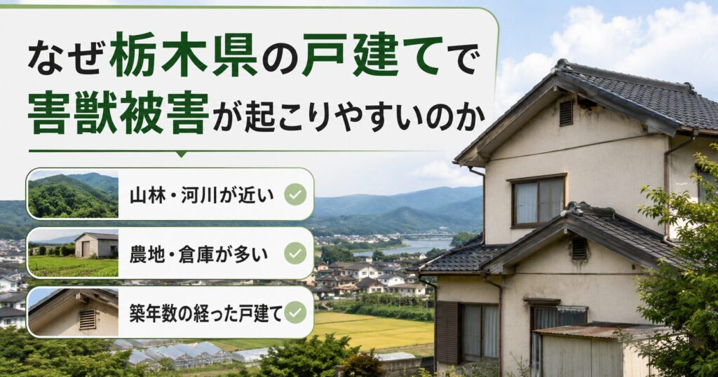 栃木県の戸建て住宅で害獣被害が起こりやすい理由を紹介する画像。住宅地・農地・山林が近い環境や、屋根裏・床下・換気口など侵入されやすい場所をわかりやすく示している。