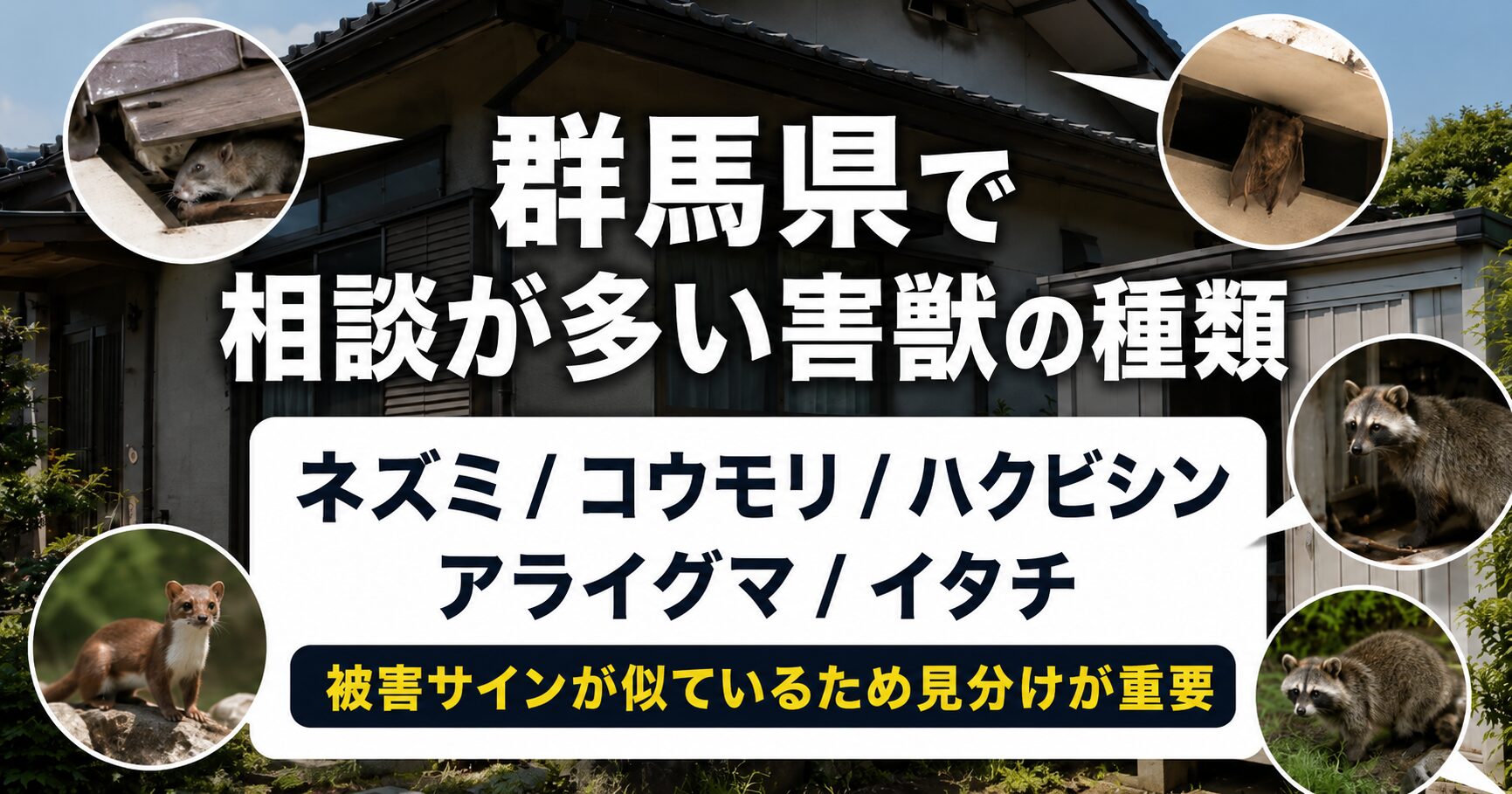 群馬県で相談が多い害獣の種類