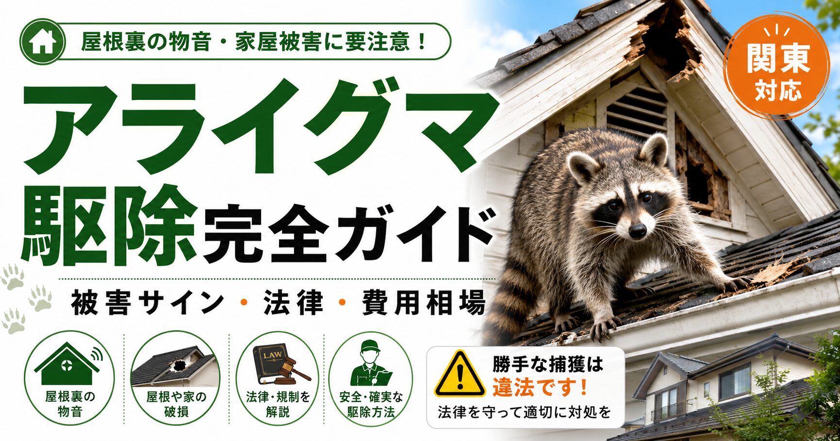 屋根裏に侵入するアライグマ被害について、被害サイン・法律・費用相場・安全な駆除方法を解説する記事のアイキャッチ画像
