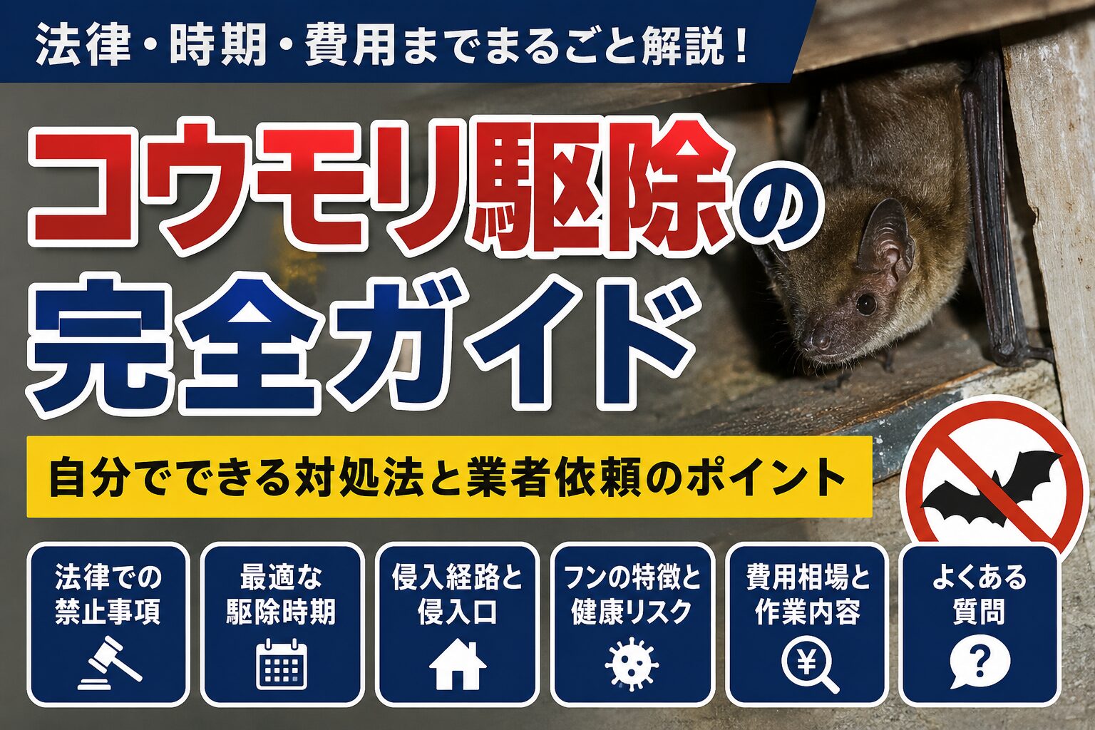 コウモリ駆除の法律上の注意点、駆除に適した時期、侵入経路、フン被害、費用相場、業者選びのポイントをまとめた解説画像