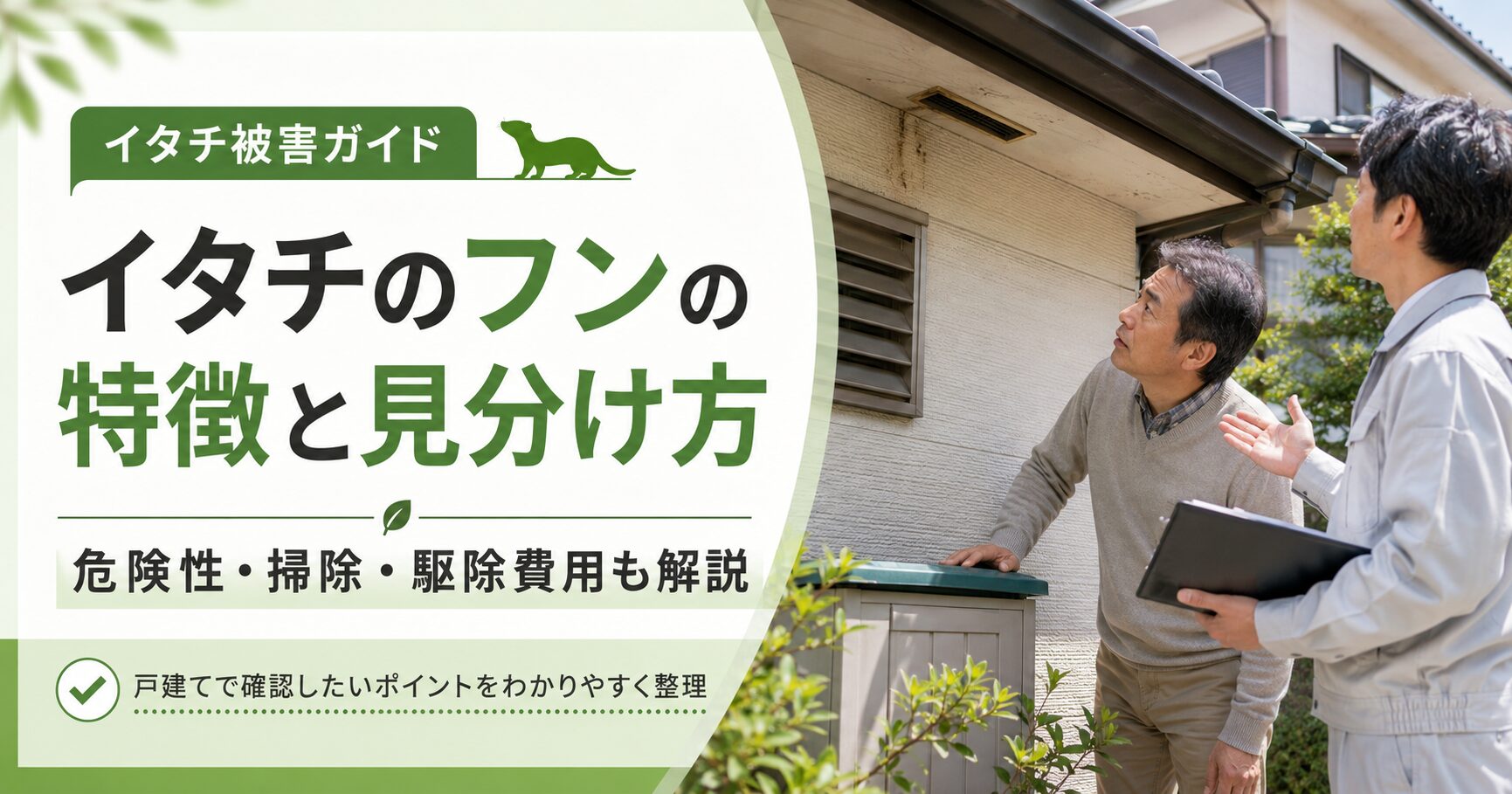 戸建て住宅でイタチのフンの特徴や見分け方を確認し、危険性や掃除、駆除費用の考え方を解説するアイキャッチ画像