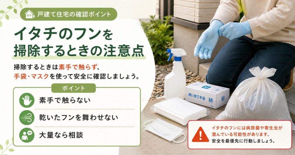 イタチのフンを掃除する際に、手袋やマスクを着用し、換気しながら安全に作業する注意点を解説する画像