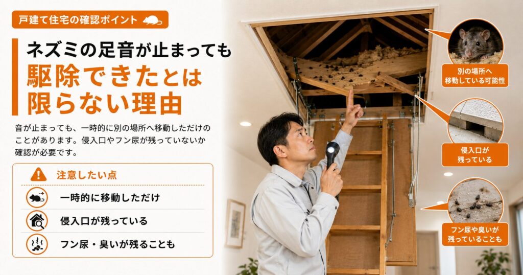ネズミの足音が止まっても、一時的に別の場所へ移動しただけの可能性があり、侵入口やフン尿、臭いが残っていないか確認が必要であることを説明する画像