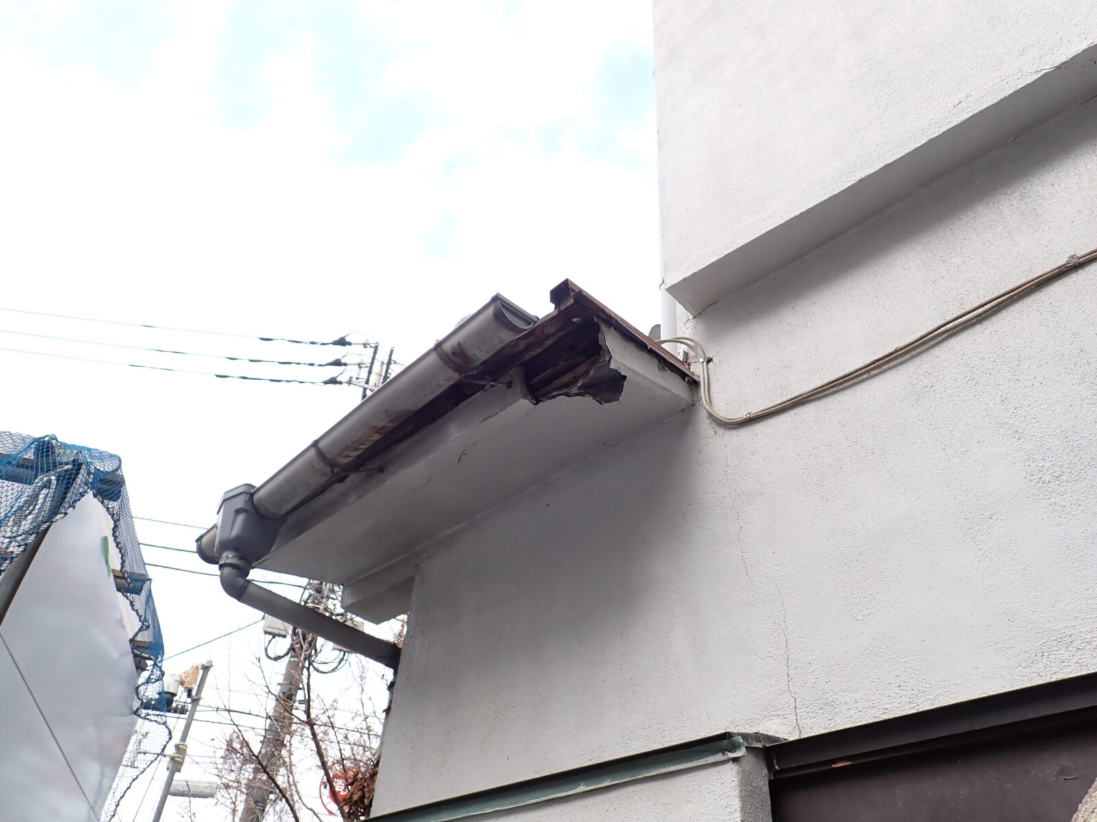 雨樋と外壁が接する軒先の角が傷み、板がめくれた箇所