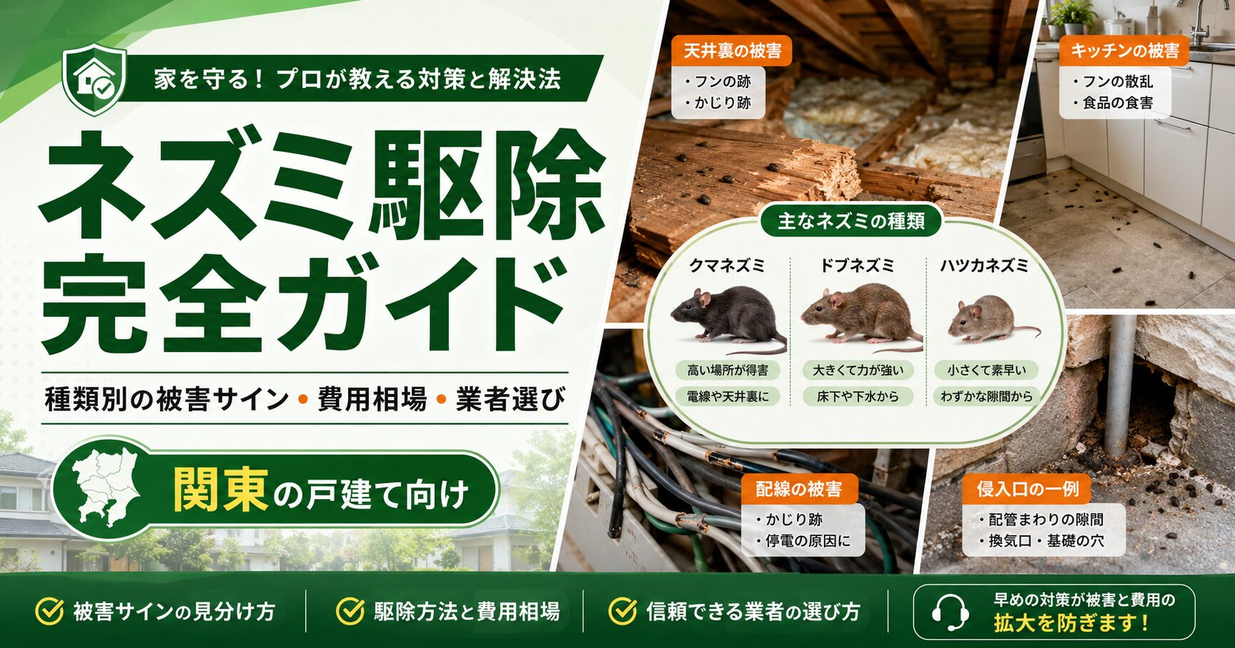 ネズミ駆除完全ガイドのアイキャッチ画像。クマネズミ・ドブネズミ・ハツカネズミの被害サイン、費用相場、業者選びを解説する記事
