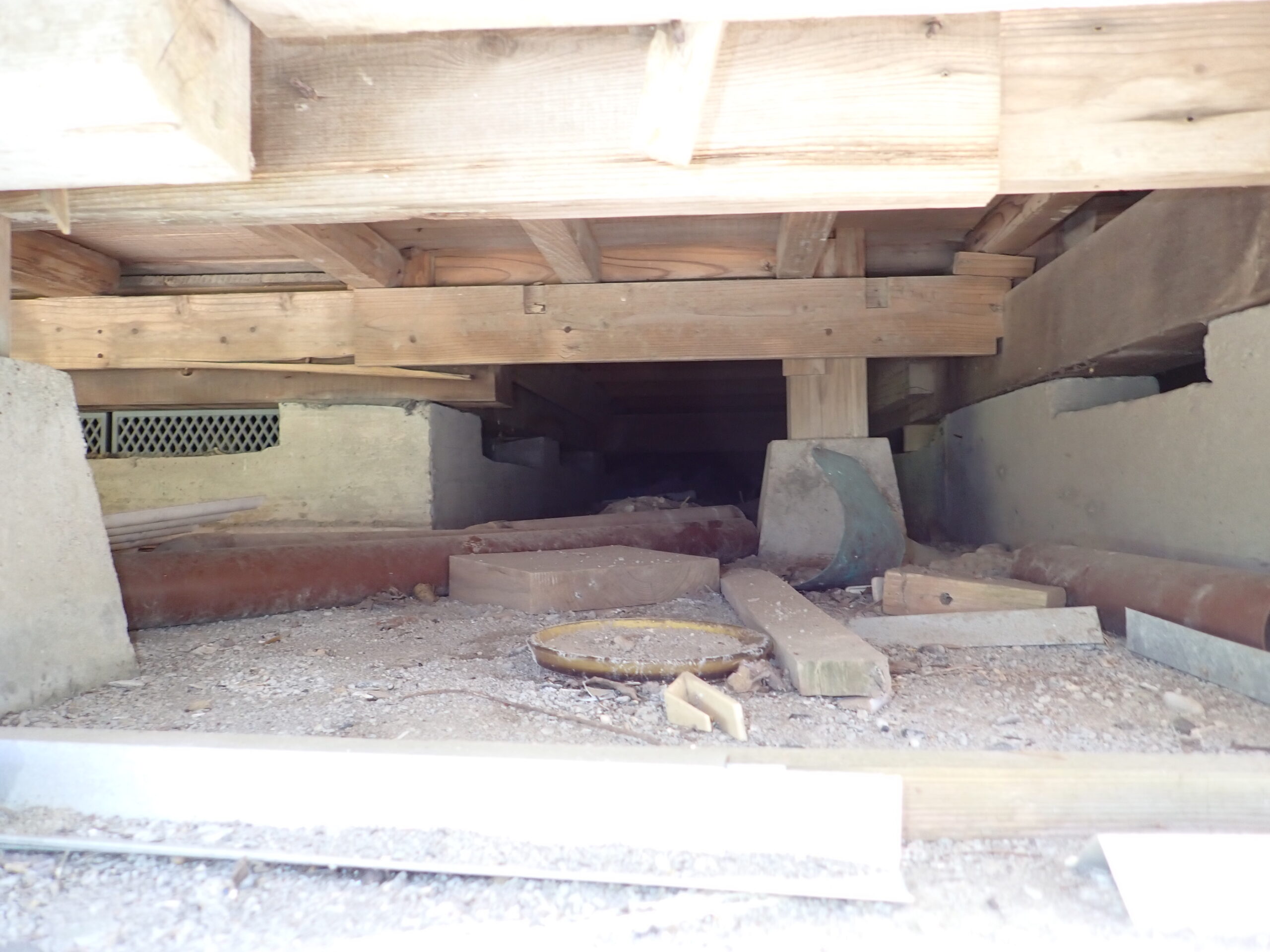 関東の戸建てでアライグマが侵入する可能性がある床下の隙間
