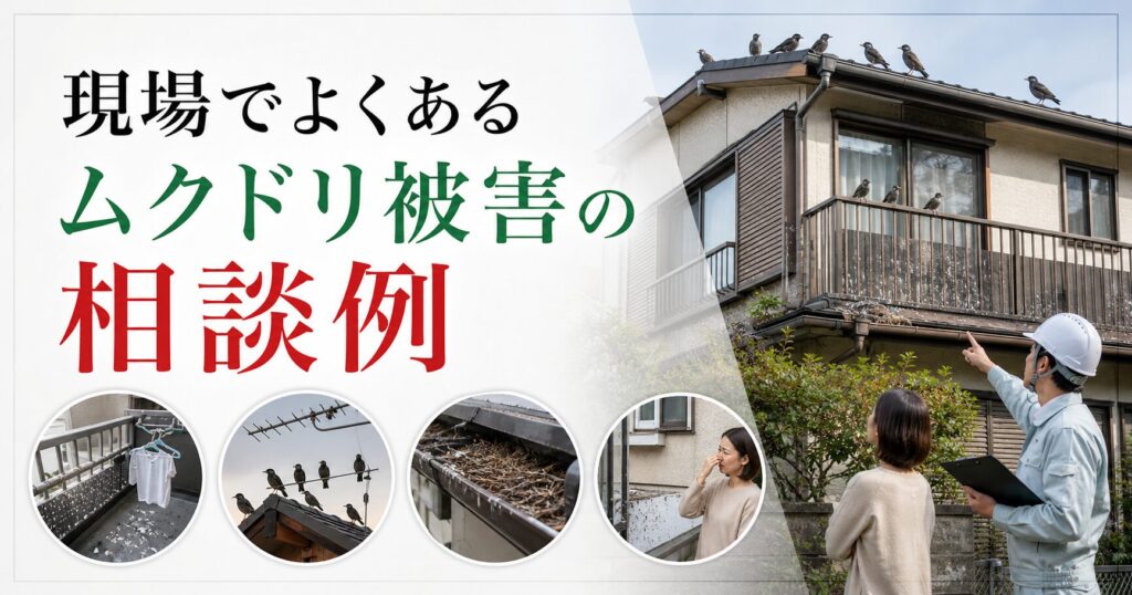 現場でよくあるムクドリ被害の相談例