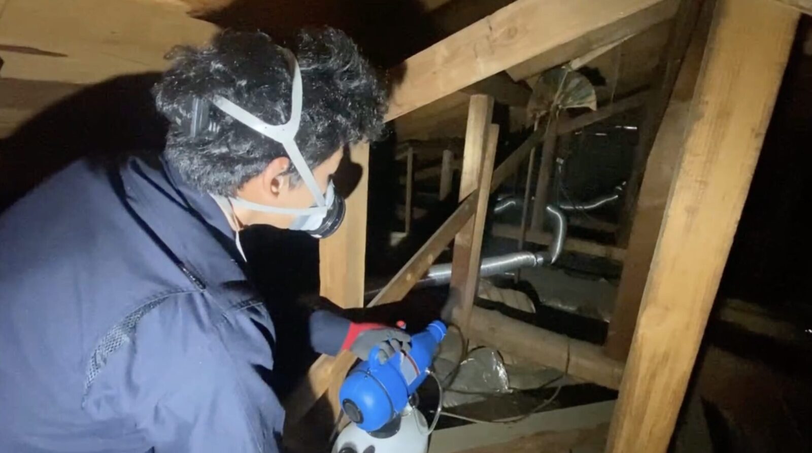 屋根裏の梁の間で、作業員が青い噴霧器を構えて薬剤をまいているところ
