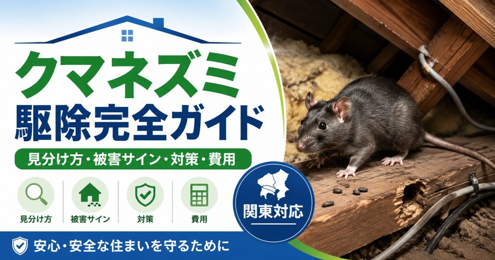 屋根裏に潜むクマネズミと、クマネズミ駆除の見分け方・被害サイン・対策・費用を解説するアイキャッチ画像