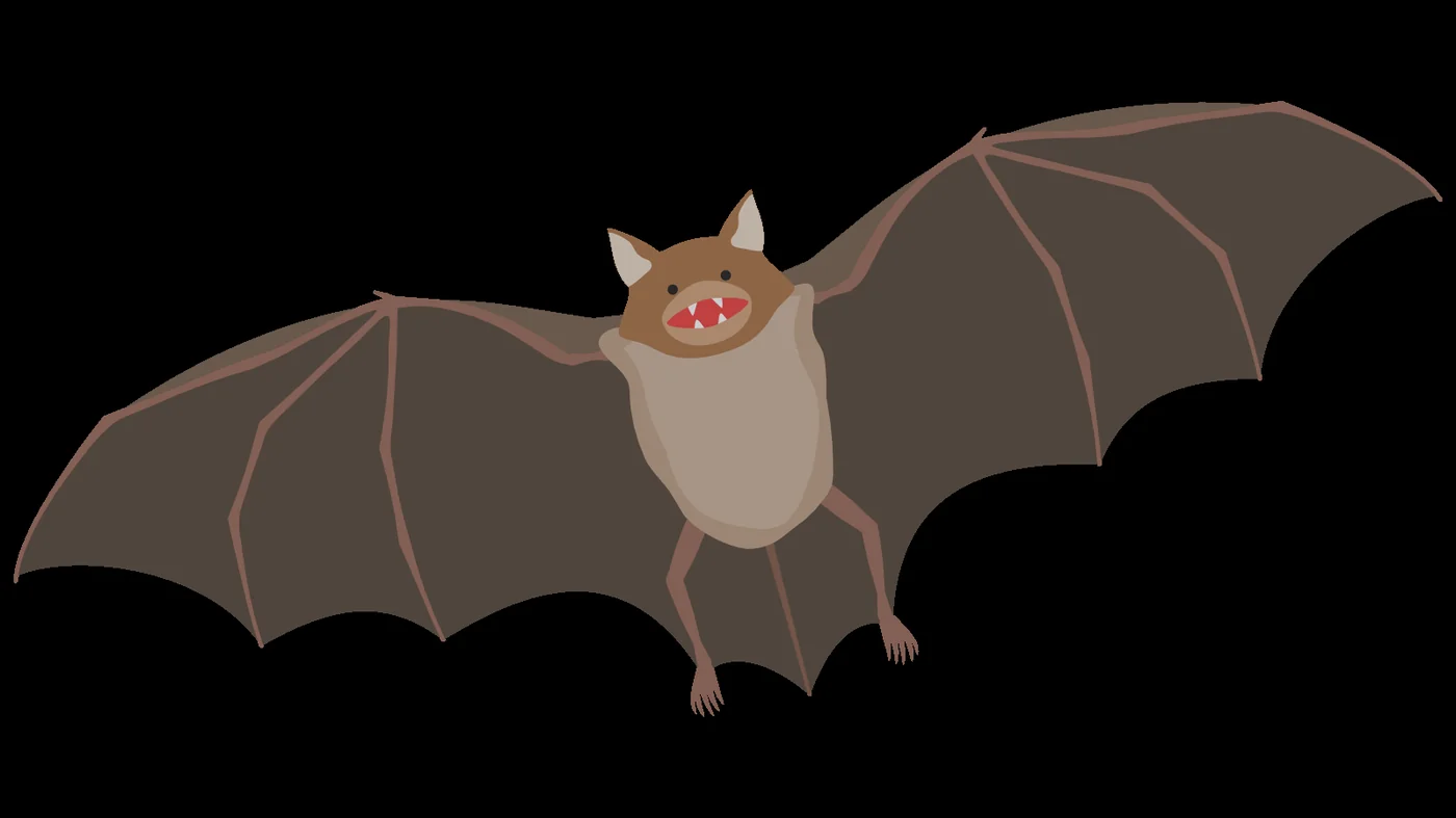 翼を広げたコウモリのイラスト