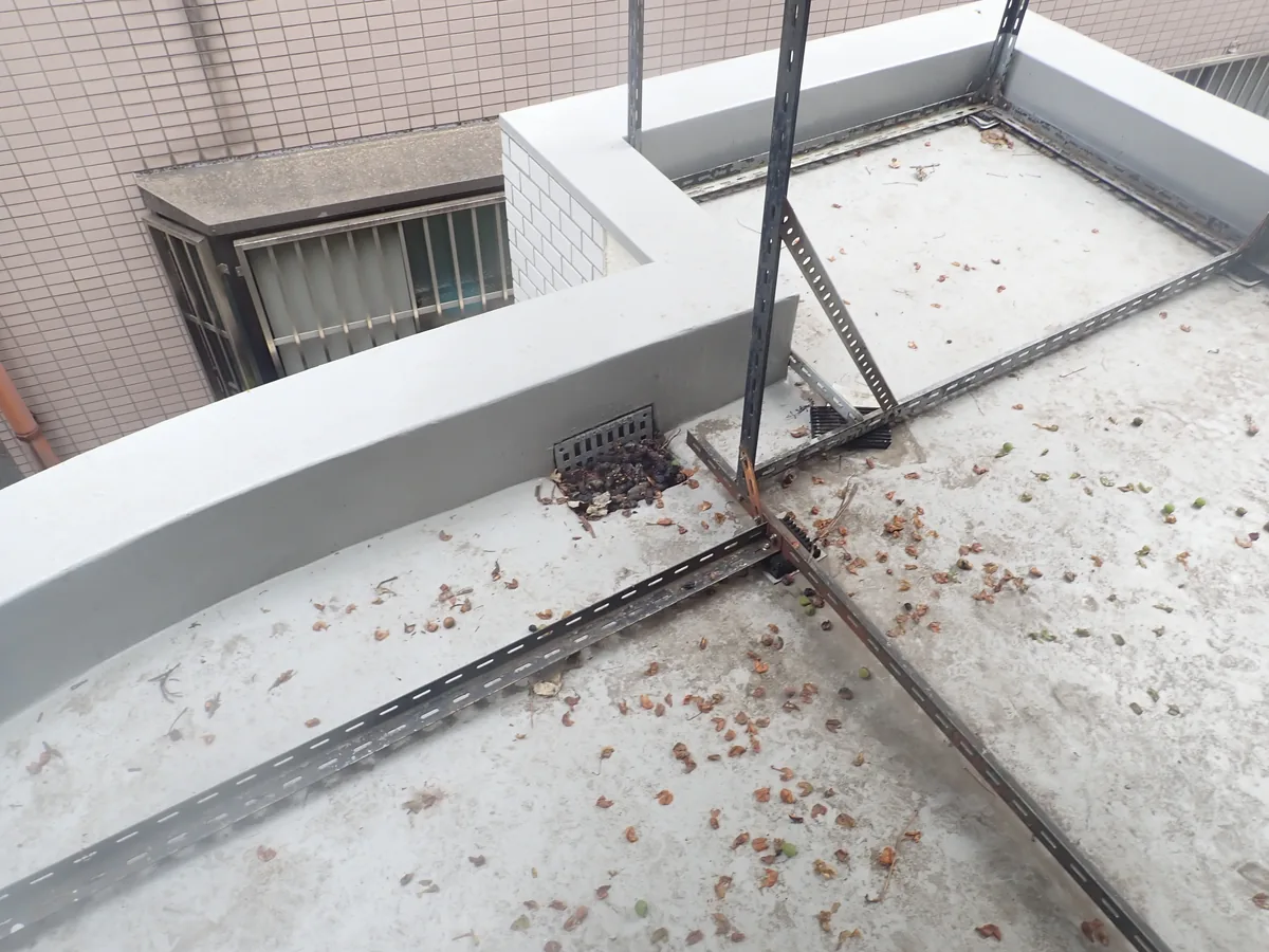 横浜市の戸建てで軒下の一角にまとまって残された中型害獣のフンを近づいて撮った接写