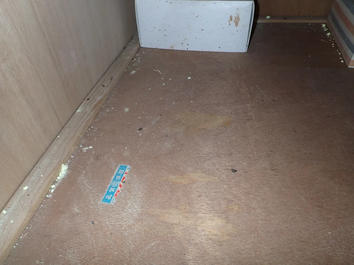 横浜市の住宅で屋根裏の断熱材が乱れ中型害獣のフンが残った状態を点検口から撮影した記録