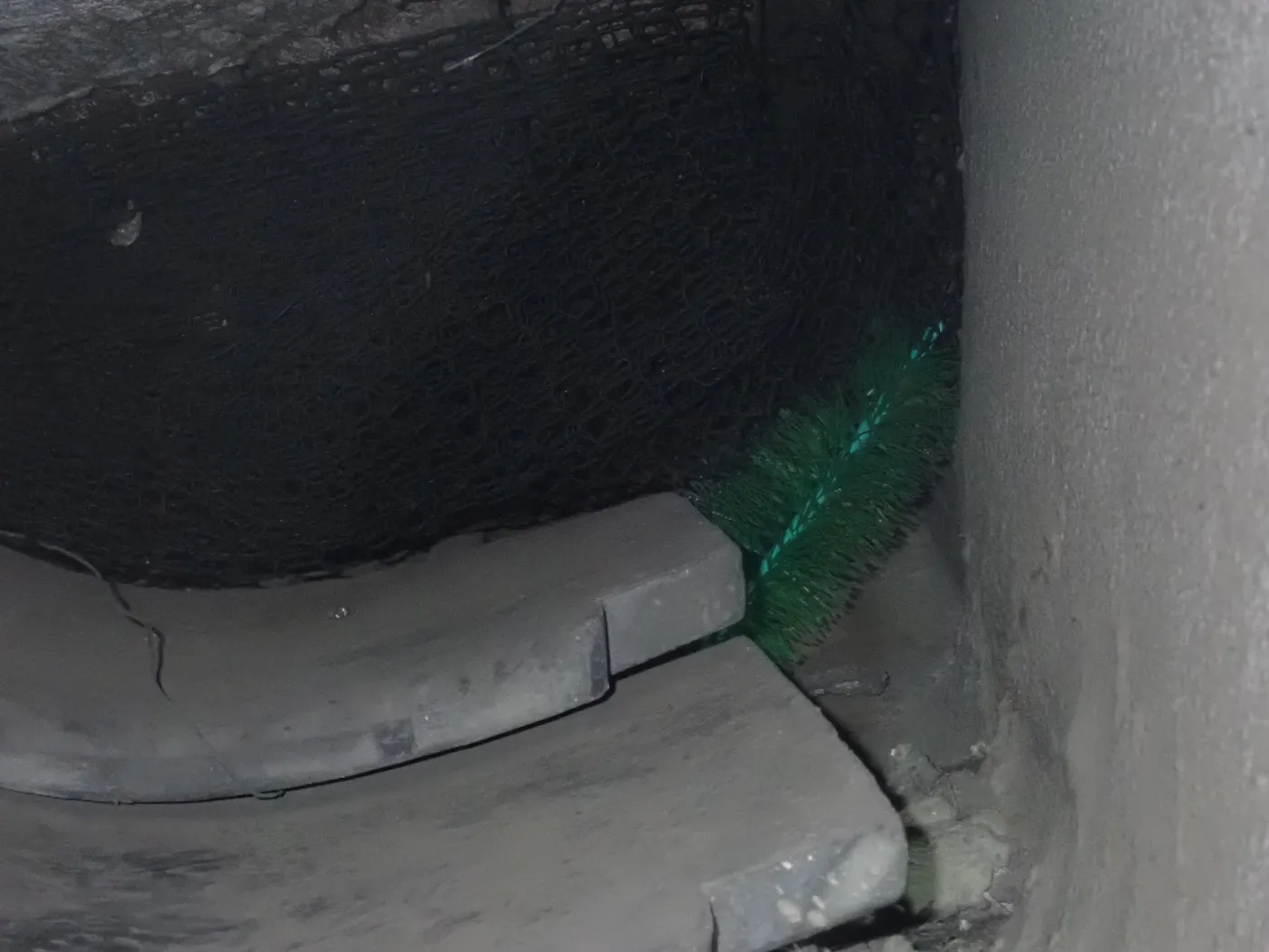 外壁のきわの隙間に、緑色のブラシ状の部材を差し込んで塞いだ所