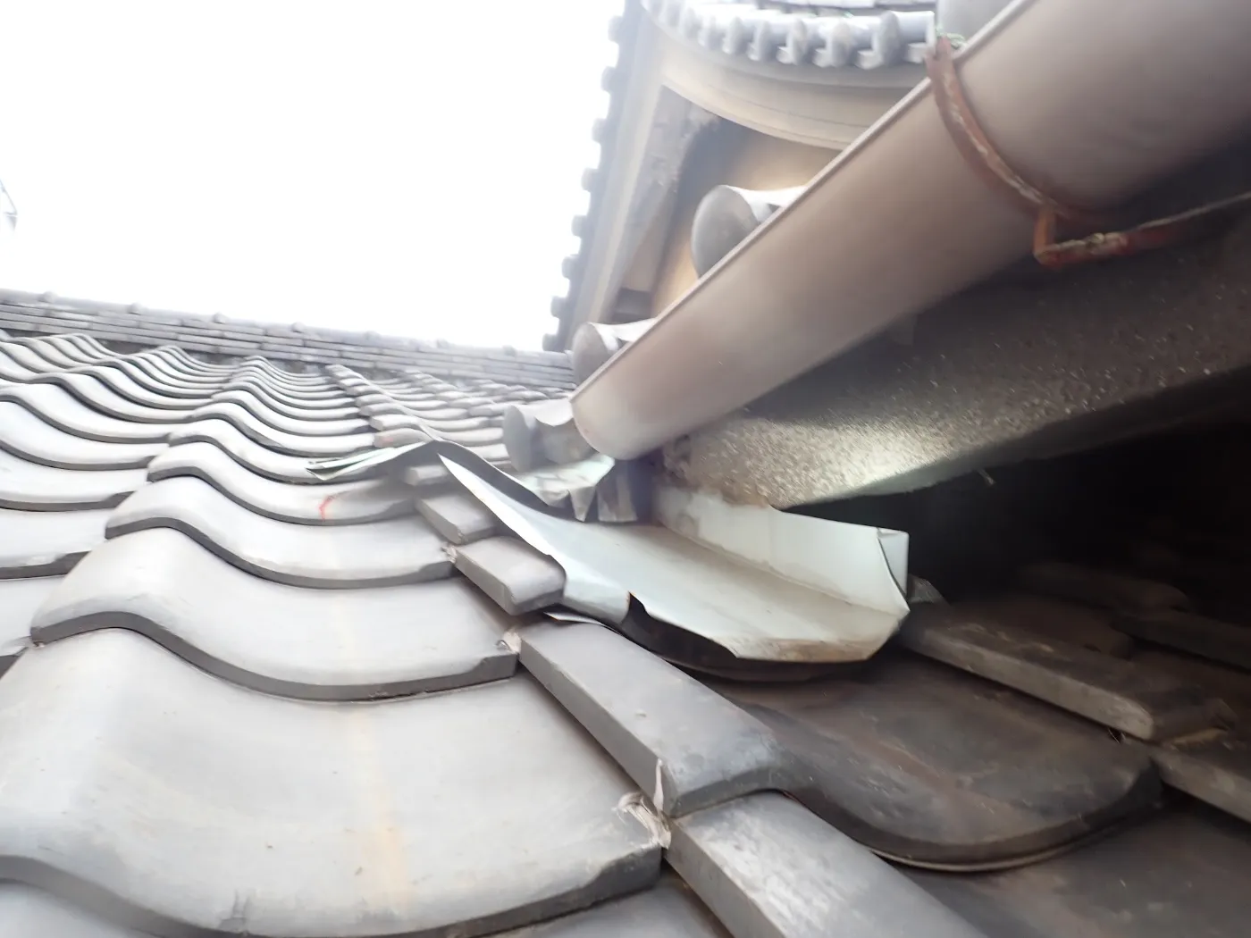 瓦屋根の軒先で、雨樋の下の板金がめくれて浮き上がっている所