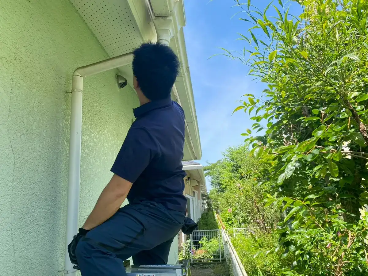 脚立の上から、軒下と雨どいのまわりを見上げて点検する作業員