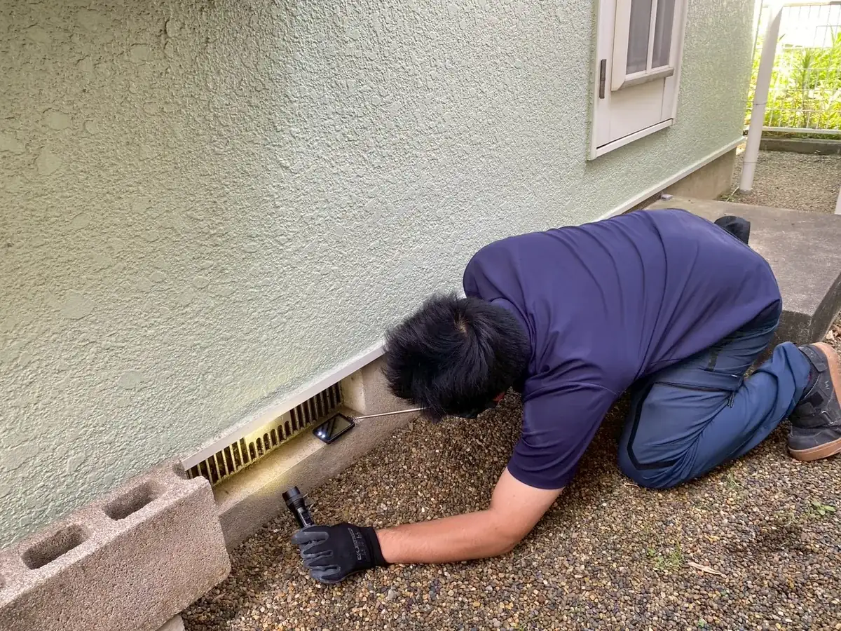 基礎の換気口の前にしゃがみ、懐中電灯で中を点検する作業員