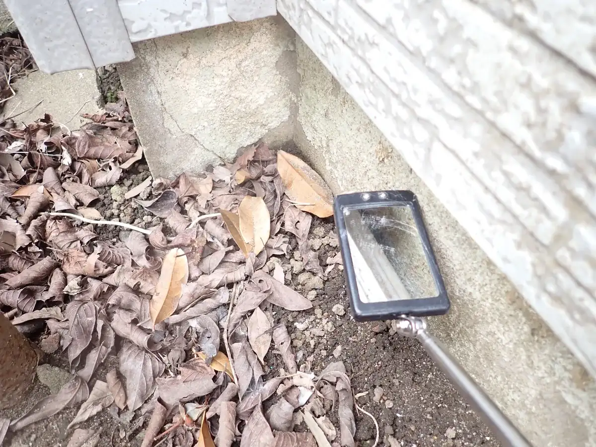 落ち葉が積もった建物脇で、柄付きの点検ミラーを基礎の際に差し入れて内部を確認している調査中の場面