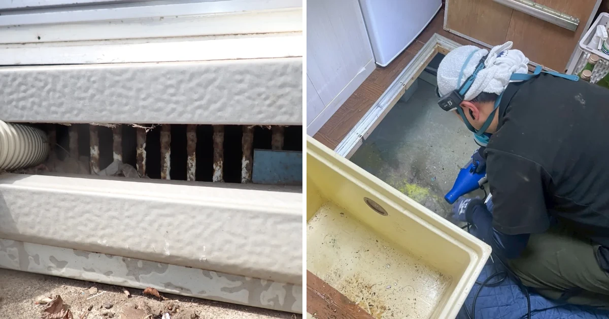 住宅外周の床下換気口と、室内の床下点検口を開けて行う消毒作業を左右に並べた床下のネズミ対策の記事画像