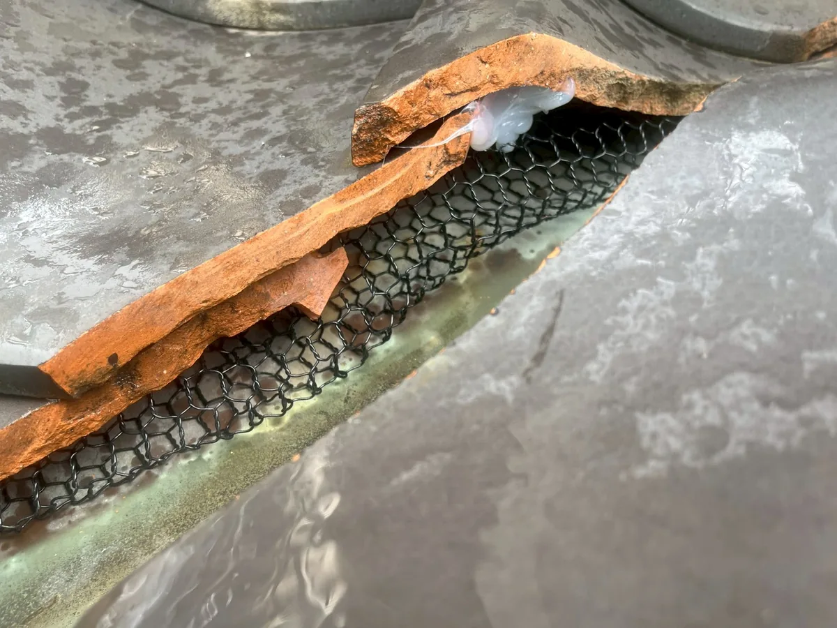 浮いた板金の下の隙間に、黒い網を詰めて充填材で留めた封鎖箇所